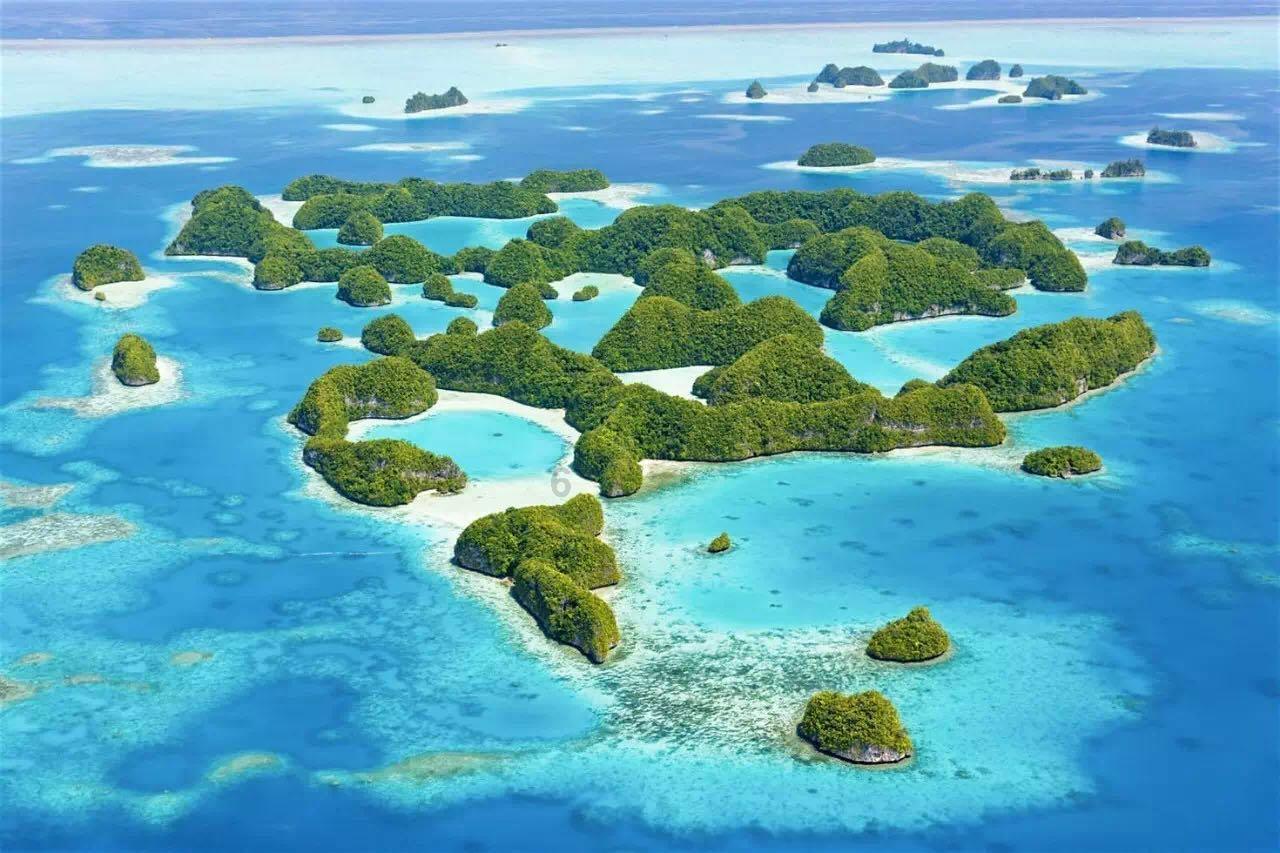 三小只僵尸的游戏时间8