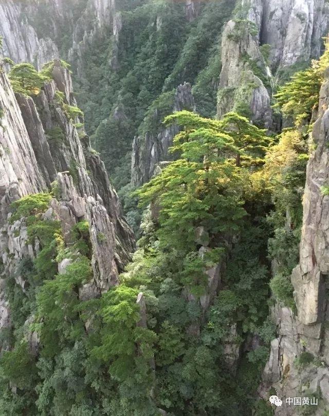 奥特曼大作战